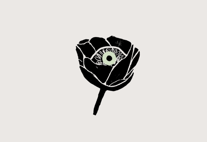 Fiore immaginale illustrazione Paola Paolini©